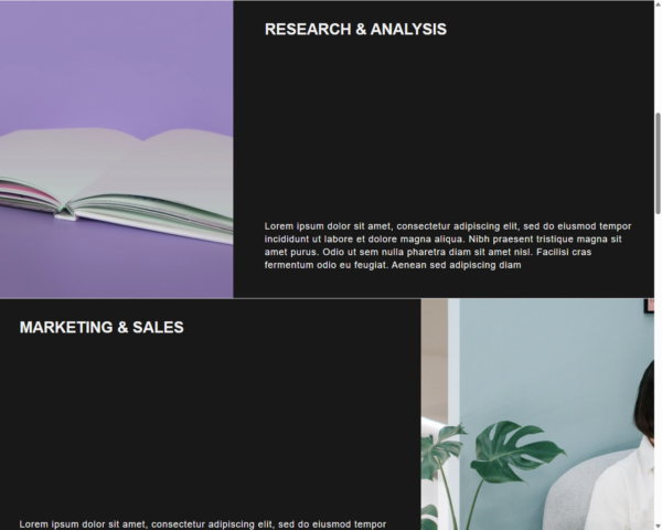 Marketing pagina web lista para administrar - Imagen 8