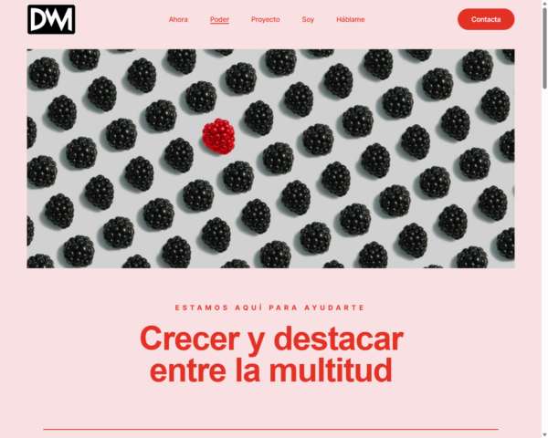Marca personal pagina web lista para administrar - Imagen 4