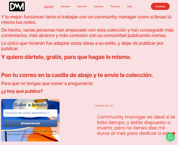 Community manager con copy lista para administrar con email-marketing - Imagen 2